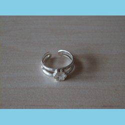 T�ring og B�rnering Seksblomst