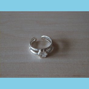 T�ring og B�rnering Seksblomst