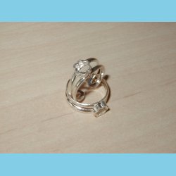 T�ring og B�rnering Seksblomst