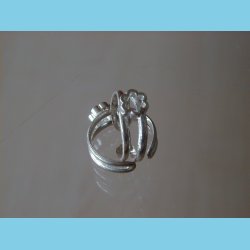 T�ring og B�rnering Seksblomst