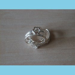 T�ring og B�rnering Seksblomst