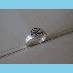 T�ring og B�rnering Plante