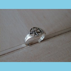 T�ring og B�rnering Plante