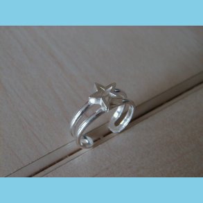 T�ring og B�rnering Stjerne