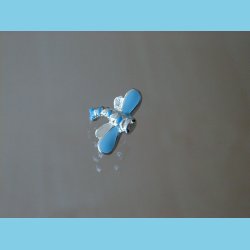 Bacio Junior Guldsmed Vedhng til Brn