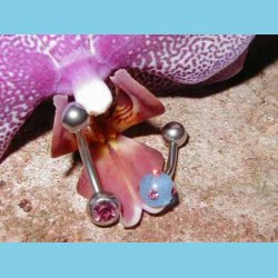 Banan stav med UV kugle b