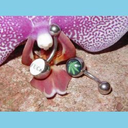 Billede Banan Stav b