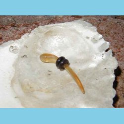 T&aring;redr&aring;be