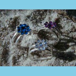 Blomster T�ring/B�rnering