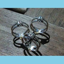 Mariehne Tring og Brnering