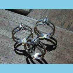 Mariehne Tring og Brnering