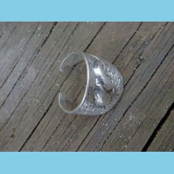 Delfin Ring