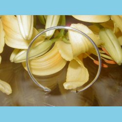 S�lvarmb�nd Spydspids