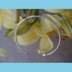 S�lvarmb�nd Spydspids