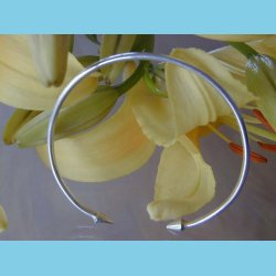 S�lvarmb�nd Spydspids