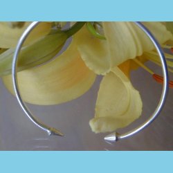 S�lvarmb�nd Spydspids