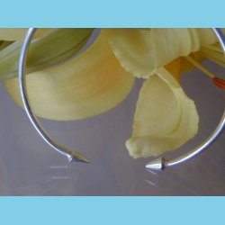 S�lvarmb�nd Spydspids